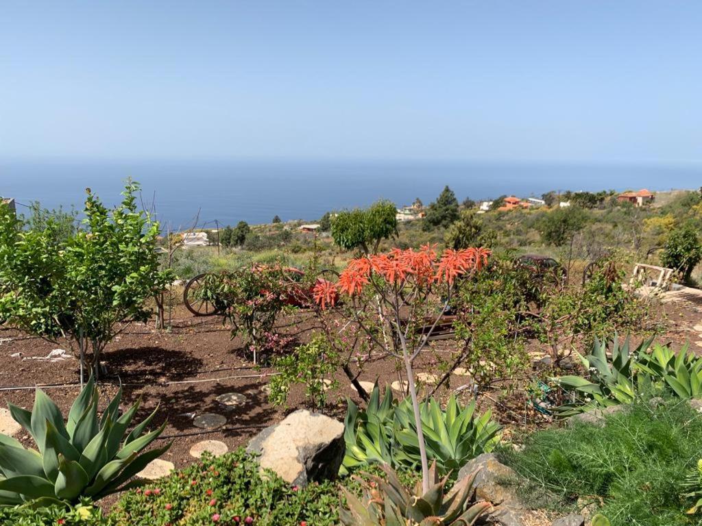 Hrlos Piratas - Ferien Haus La Palma - Good Wlan !! ティハラフェ エクステリア 写真