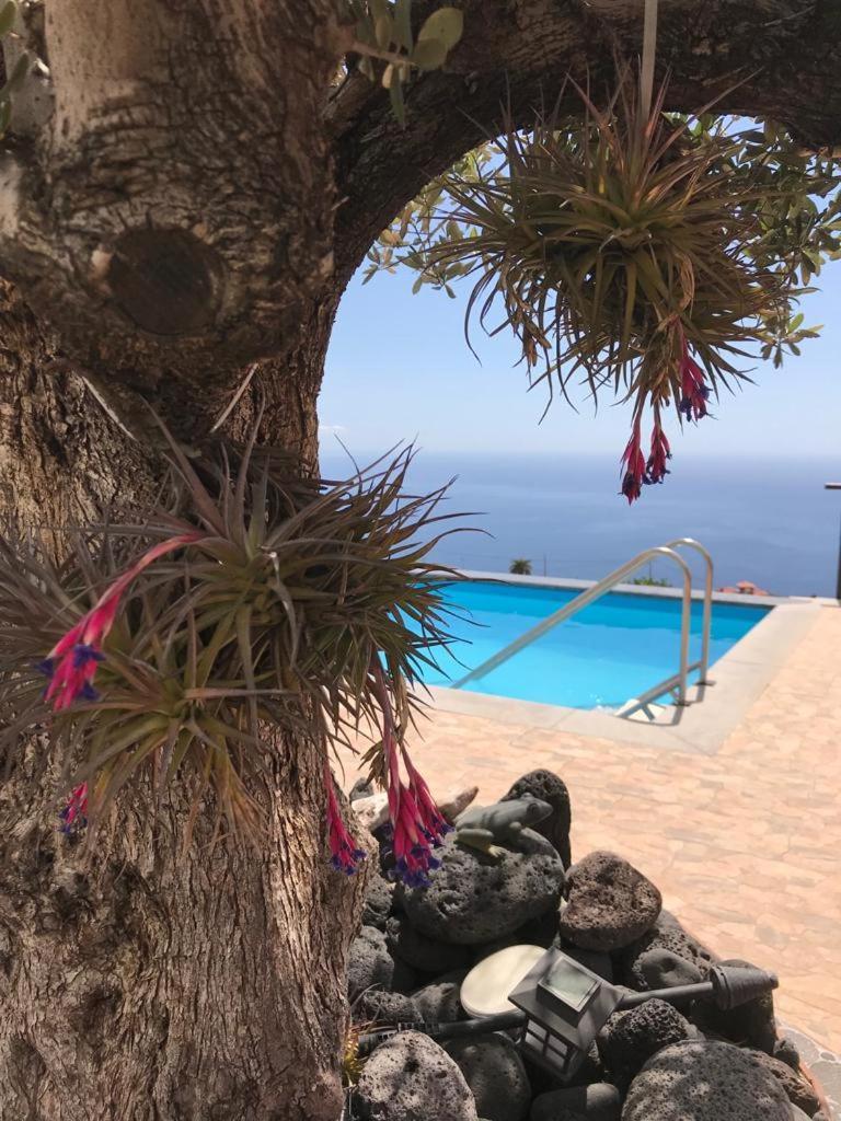 Hrlos Piratas - Ferien Haus La Palma - Good Wlan !! ティハラフェ エクステリア 写真